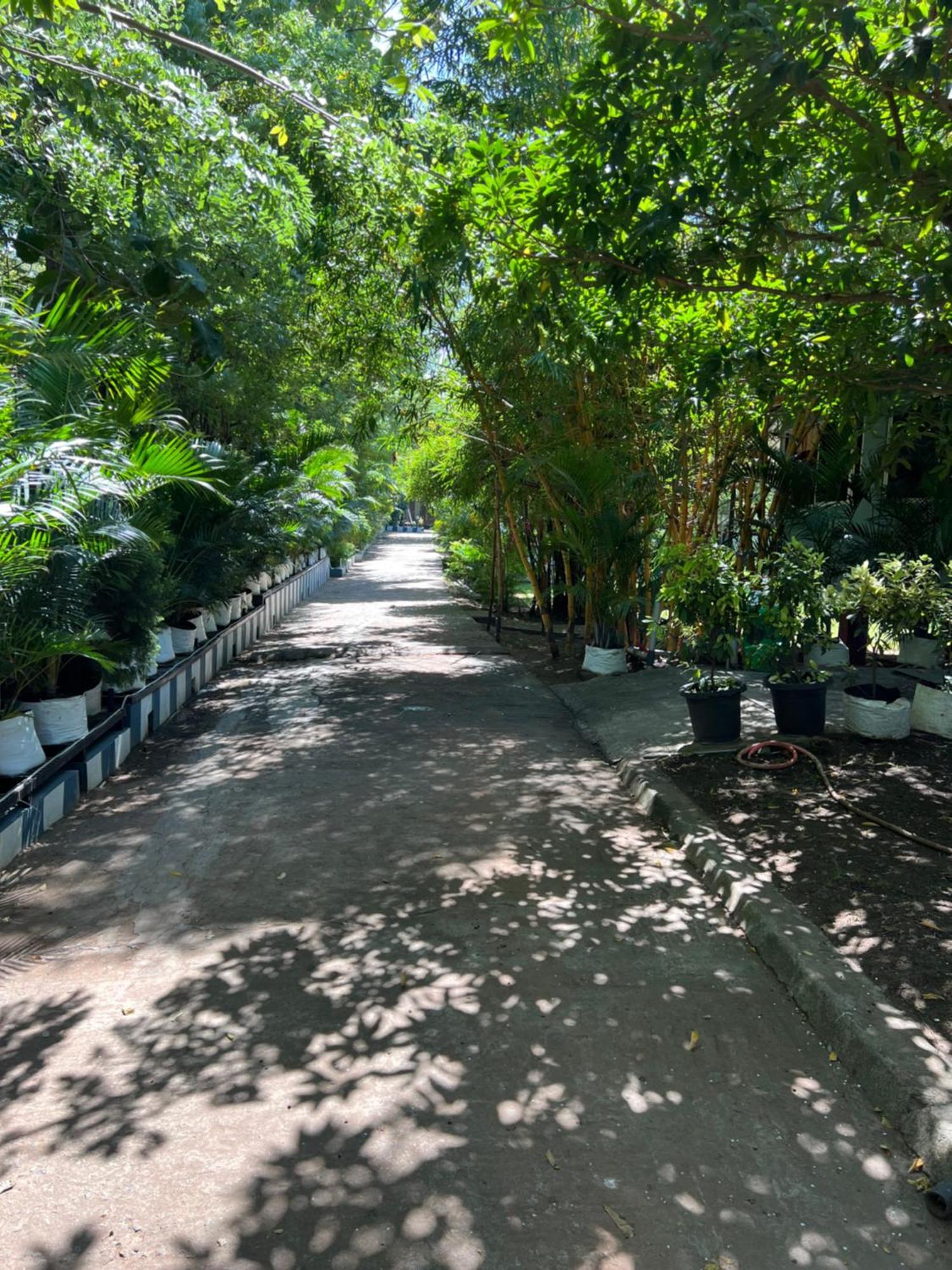 The Midway Jungle Resort Masinagudi Exterior foto